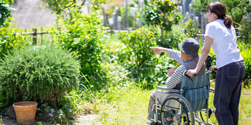 Pointing-in-Wheelchair